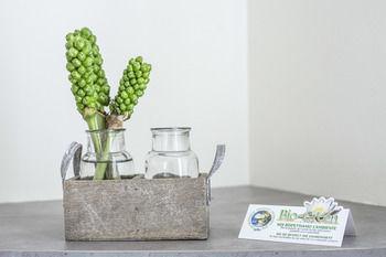 Le Vigne Di Corvino Hotel
