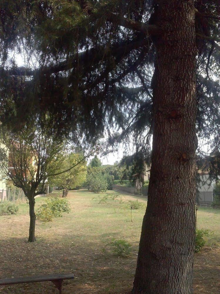 Le Vigne Di Corvino 3*